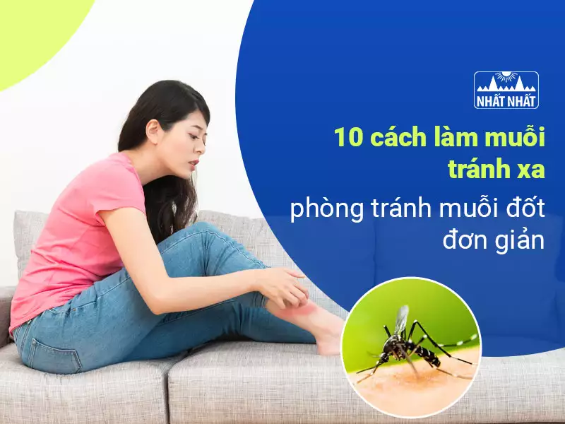 Làm Sao Để Đỡ Bị Muỗi Đốt: 15+ Phương Pháp Hiệu Quả
